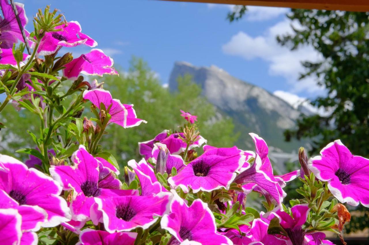 Riverfront Estate Bed&Breakfast Banff Bed & Breakfast Exterior photo